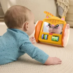 Fisher Price Pets Crawl & Play Speil