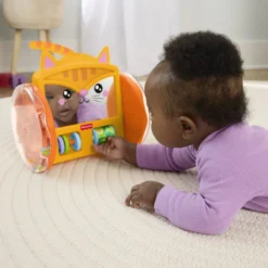 Fisher Price Pets Crawl & Play Speil