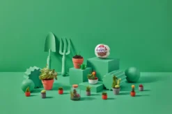 Mini Brands, Botanisk Hage S1