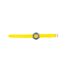 Time Teacher, Pokemon